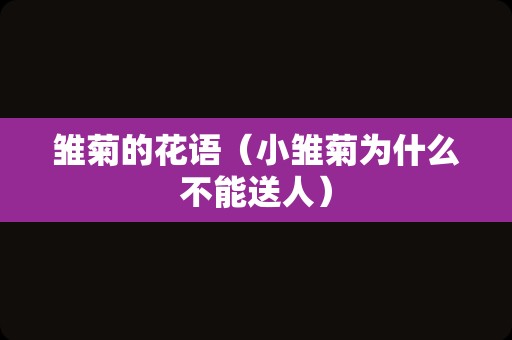 雏菊的花语（小雏菊为什么不能送人）