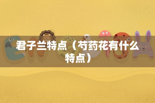 君子兰特点（芍药花有什么特点）