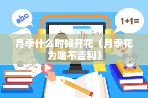 月季什么时候开花（月季花为啥不吉利）