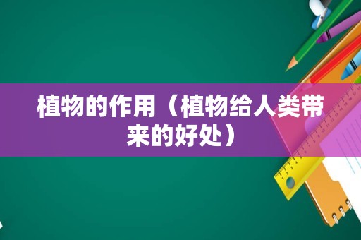 植物的作用（植物给人类带来的好处）