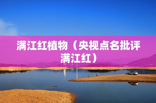 满江红植物（央视点名批评满江红）
