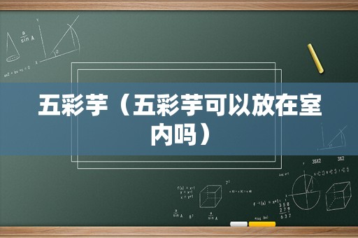 五彩芋（五彩芋可以放在室内吗）