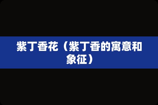 紫丁香花（紫丁香的寓意和象征）