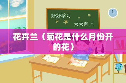 花卉兰（菊花是什么月份开的花）