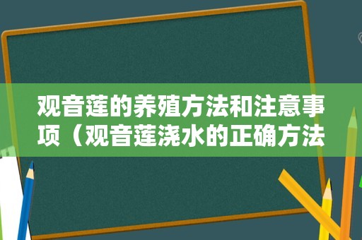 观音莲的养殖方法和注意事项（观音莲浇水的正确方法）