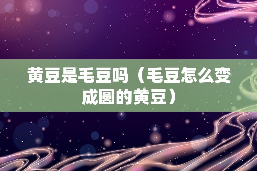 黄豆是毛豆吗（毛豆怎么变成圆的黄豆）