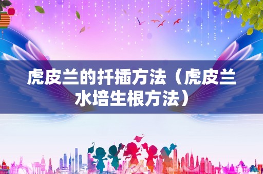 虎皮兰的扦插方法（虎皮兰水培生根方法）