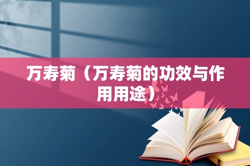 万寿菊（万寿菊的功效与作用用途）