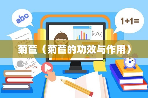 菊苣（菊苣的功效与作用）