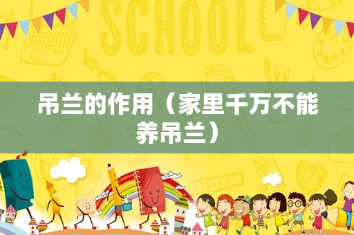 吊兰的作用（家里千万不能养吊兰）