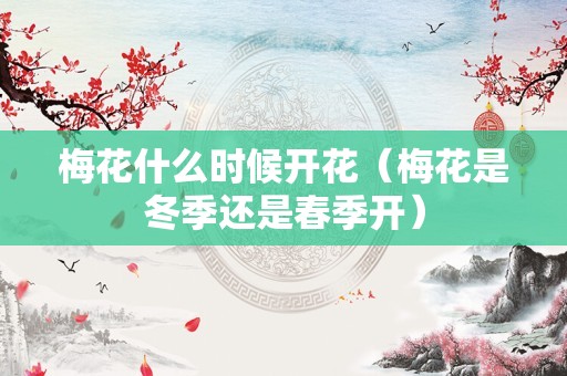 梅花什么时候开花（梅花是冬季还是春季开）