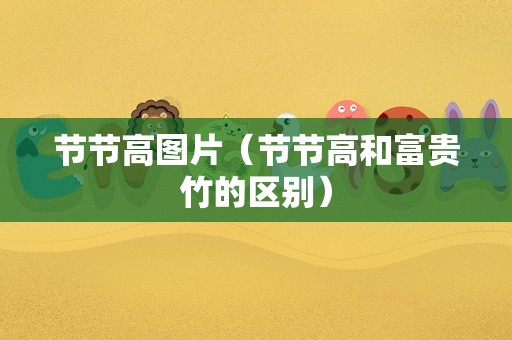 节节高图片（节节高和富贵竹的区别）
