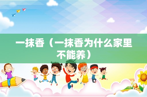 一抹香（一抹香为什么家里不能养）