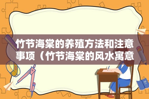 竹节海棠的养殖方法和注意事项（竹节海棠的风水寓意）