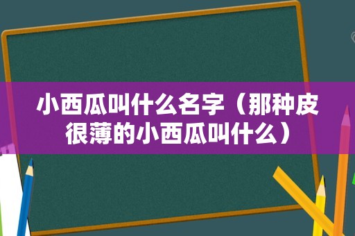 小西瓜叫什么名字（那种皮很薄的小西瓜叫什么）