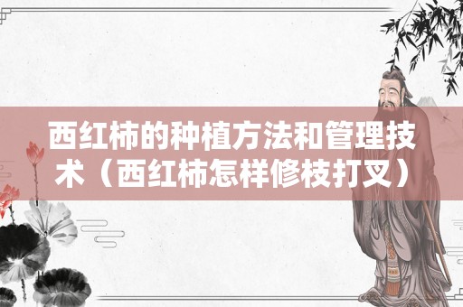 西红柿的种植方法和管理技术（西红柿怎样修枝打叉）