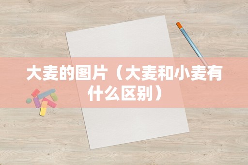 大麦的图片（大麦和小麦有什么区别）