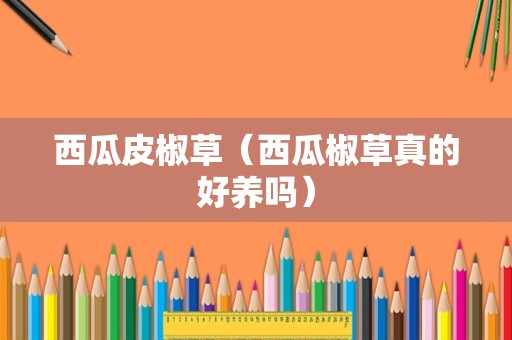 西瓜皮椒草（西瓜椒草真的好养吗）