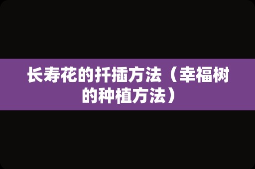 长寿花的扦插方法（幸福树的种植方法）