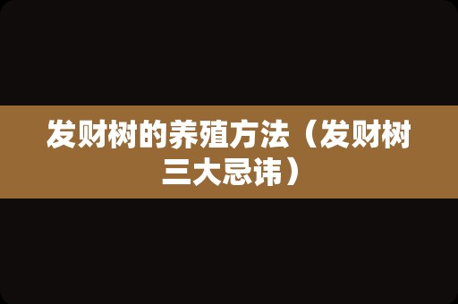 发财树的养殖方法（发财树三大忌讳）