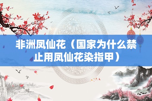 非洲凤仙花（国家为什么禁止用凤仙花染指甲）