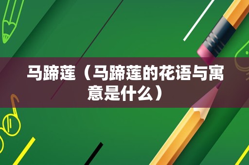 马蹄莲（马蹄莲的花语与寓意是什么）