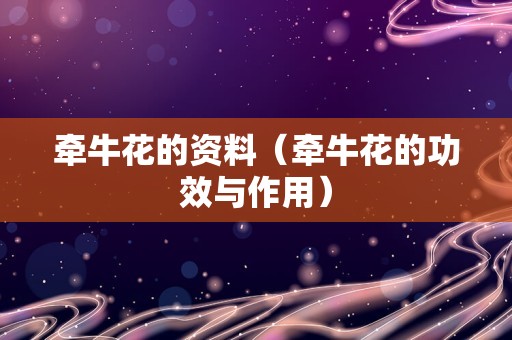 牵牛花的资料（牵牛花的功效与作用）