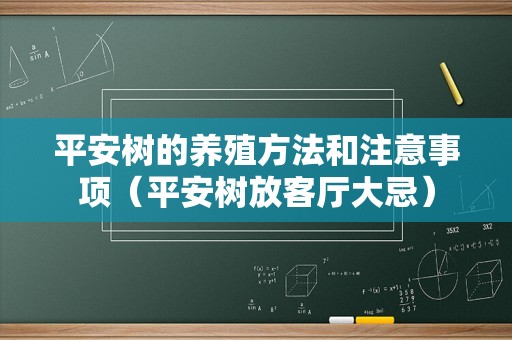 平安树的养殖方法和注意事项（平安树放客厅大忌）
