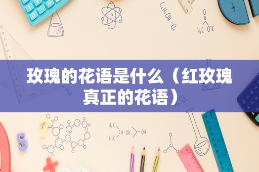 玫瑰的花语是什么（红玫瑰真正的花语）