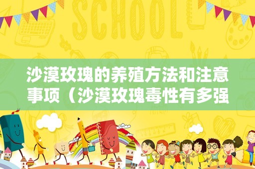 沙漠玫瑰的养殖方法和注意事项（沙漠玫瑰毒性有多强）