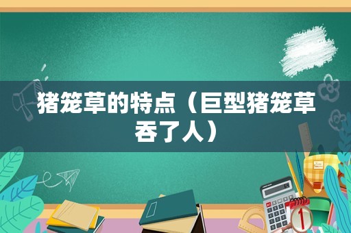 猪笼草的特点（巨型猪笼草吞了人）