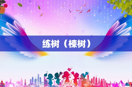 练树（楝树）