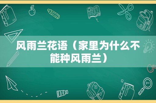 风雨兰花语（家里为什么不能种风雨兰）