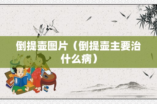 倒提壶图片（倒提壶主要治什么病）