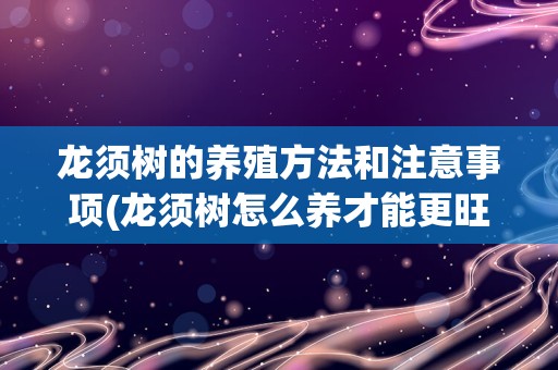 龙须树的养殖方法和注意事项(龙须树怎么养才能更旺盛)