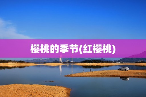 樱桃的季节(红樱桃)