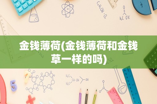 金钱薄荷(金钱薄荷和金钱草一样的吗)