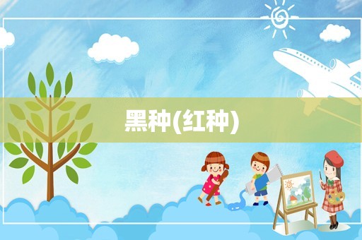 黑种(红种)