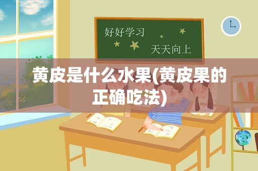 黄皮是什么水果(黄皮果的正确吃法)