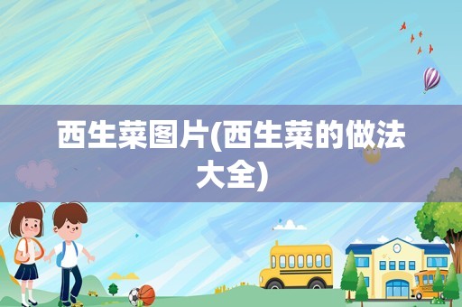 西生菜图片(西生菜的做法大全)