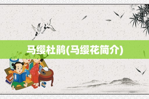 马缨杜鹃(马缨花简介)