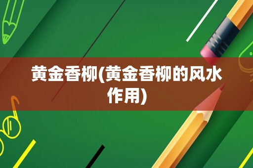 黄金香柳(黄金香柳的风水作用)