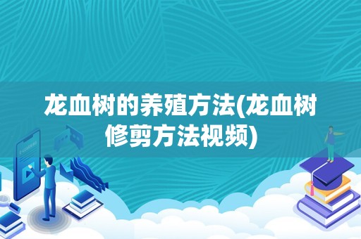 龙血树的养殖方法(龙血树修剪方法视频)
