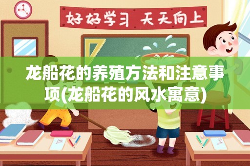 龙船花的养殖方法和注意事项(龙船花的风水寓意)
