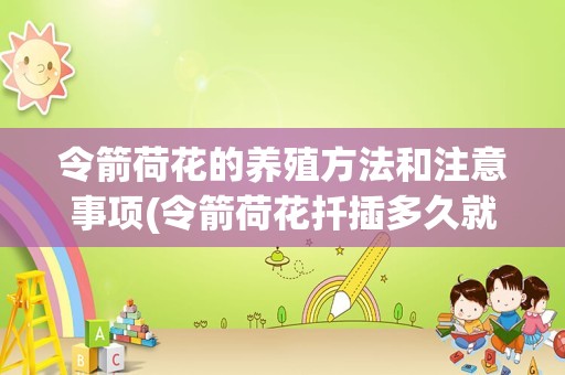 令箭荷花的养殖方法和注意事项(令箭荷花扦插多久就活了)
