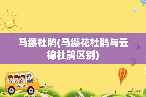 马缨杜鹃(马缨花杜鹃与云锦杜鹃区别)