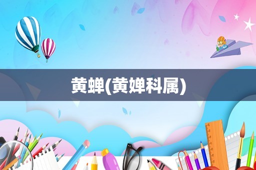 黄蝉(黄婵科属)