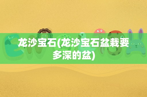 龙沙宝石(龙沙宝石盆栽要多深的盆)