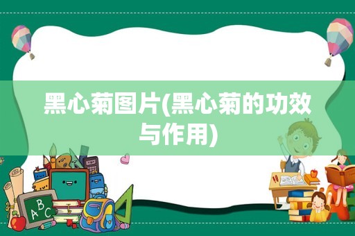 黑心菊图片(黑心菊的功效与作用)