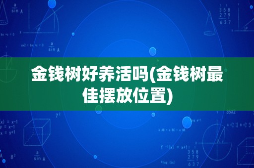 金钱树好养活吗(金钱树最佳摆放位置)